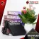 MIDIPLUS SP2 keyboard pedal, Black - Sustain Pedal Midiplus SP -2 [with QC check] [Insurance from Zero] [100%authentic] [Free delivery] Turtle