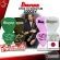 [100%authentic japan] Guitar IBANEZ 1000SV Steve Vai Signature Model White Rubber, Muscat Purple, Brown, Green [with QC checking from the shop] Dang Tao