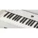 Korg® C1 Air Piano 88 Keywy Key Real Weightd Hammer Action 2 speakers per Bluetooth White Antique + Free