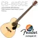 Fender® CB-60SCE Acoustic Bass กีตาร์เบสโปร่งไฟฟ้า เบสโปร่ง 22 เฟรต ไม้หน้าแท้ Top Solid Spruce / Mahogany ปิ๊กอัพ Fishm