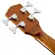 Fender® CB-60SCE Acoustic Bass กีตาร์เบสโปร่งไฟฟ้า เบสโปร่ง 22 เฟรต ไม้หน้าแท้ Top Solid Spruce / Mahogany ปิ๊กอัพ Fishm