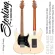 Sterling® Cutlass CT50 HSS กีตาร์ไฟฟ้า Modern Classic 22 เฟรต ปิ๊กอัพ HSS / บอดี้ไม้ Poplar / คอไม้ Roasted Maple / สายกีตาร์ Ernie Ball 2221 Regular