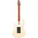 Sterling® Cutlass CT50 HSS กีตาร์ไฟฟ้า Modern Classic 22 เฟรต ปิ๊กอัพ HSS / บอดี้ไม้ Poplar / คอไม้ Roasted Maple / สายกีตาร์ Ernie Ball 2221 Regular