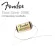 Fender® Tone Saver 250K Volume For keeping the tone, even adjusting the sound 7706416049