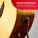 Monster® ACST2-21A สายแจ็คกีตาร์ สายแจ็ค 21 ฟุต 6.4 เมตร หัวตรง/หัวงอ ชุบทอง Acoustic 21ft Angled to Straight Instrum