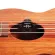 D'Addario® PW-22 Ukulele Soundhole Tuner Ukulele Clip of the soundtrack Color display + free charcoal