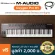 M-Audio® Oxygen Pro 61 Midi Controller คีย์บอร์ดใบ้ 49 คีย์ น้ำหนักคีย์แบบ Semi-Weighted ต่อ USB, แป้นเหยียบได้ + แถมฟรี