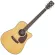 SAGA® DS10C 41 inch guitar D shape, concave neck, Top Solids, Sitca, Square/Mahakani Wood, Coated + Free Bag & Cat