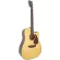 SAGA® DS10C 41 inch guitar D shape, concave neck, Top Solids, Sitca, Square/Mahakani Wood, Coated + Free Bag & Cat