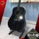 [Bangkok & Metropolitan Region Send Grab Quick] Guitar stand, Kazuki Dstgj2 Black - Guitar Stand Kazuki Dstg -J2 [with QC check] [100%authentic] [Free delivery] Red turtle