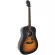 Mantic AG-370, 41-inch guitar, Dreadnough shape, Sprueus/Mahokani coated + free bag & tuner & kapo & a set of liquid