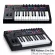 M-Audio® Oxygen Pro 25 Midi Controller คีย์บอร์ดใบ้ 25 คีย์ น้ำหนักคีย์แบบ Semi-Weighted ต่อ USB, แป้นเหยียบได้ + แถมฟรี