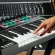 M-Audio® Oxygen Pro 25 Midi Controller คีย์บอร์ดใบ้ 25 คีย์ น้ำหนักคีย์แบบ Semi-Weighted ต่อ USB, แป้นเหยียบได้ + แถมฟรี