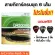 พร้อมส่ง ครบชุด6เส้น D'Addario สายกีตาร์โปร่งเบอร์10/11/12 สายกีตาร์ไฟฟ้า แถมฟรี ปิ๊กและที่เก็บปิ๊ก