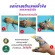 ที่ดามมือ ดามอุ้งมือ กายภาพ มือซ้ายและขวา ดัดมือ นิ้วหยิก นิ้วงอ มือล็อค มือหยิก มือติด มือเบี้ยว ยืดเอ็นมือ