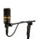 Audix: A231 By Millionhead (Diaphragm Condenser Hi-End Microphone that comes with a premium sound for studio users)
