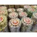 Mojin, fresh milk, Thai dessert house, fragrant, delicious, easy to eat through FDA, clean, safe, no preservatives No synthetic color Do not put preservatives