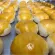 Salted salted spring rolls, large boxes, 550 grams, soft flour, fresh, fresh, fragrant from the stove every day.
