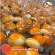 Salted salted spring rolls, large boxes, 550 grams, soft flour, fresh, fresh, fragrant from the stove every day.