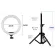 New10.2 Inch 26cm Ring Light & Tripod Stand LED Camera Selfie Light Ring for iPhone Tripod and Phone Holder for Video Photography