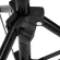 ขาตั้งไฟ75ซม หัวสกรู1/4นิ้ว Light Stand 75CM Screw head 1/4 inch