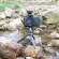 XILETU XS-20 Mini Top, a little phone, standing a tripod for Vlog for Mirrorless Camera, Mirror, Mart, with removable ball heads.