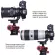iShoot ขาตั้งกล้องเมาท์เลนส์รองรับคอเลนส์สำหรับ Canon EF-E Sigma MC-11 Mount Converter Lens Adapter Ring, จานปล่อยด่วน Arca Fit ในตัว