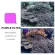 Red -Magenta Filter, red and purple filter for waterproof cases, GoPro 7 /6 /5 /2018, both black and clear cases for diving.