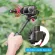 TELESIN Vertical Horizontal Frame Case with Cold Shoe Quick Release Buckle Bracket Housing Mount for DJI Osmo Action Accessories