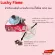 Low voltage head Lucky Flame +2 good bodies +1.5 meters of gas line Good thick cable