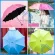 ร่มกันฝน รุ่นผ้า2ชั้น โดนน้ำเปลี่ยนลายดอกไม้  ร่มกันแดด ร่มกันยูวี ร่มกันUV ร่มพับได้ ร่มพับ ร่ม uv Umbrella No. UV3864