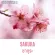 100% authentic perfume Fragrance Oil, high concentration, sakura, 30 ml, 60 ml, 100 ml