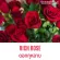 หัวน้ำหอมแท้ 100% FRAGRANCE OIL ความเข้มข้นสูง กลิ่น กุหลาบ ขนาด 30 ML , 60 ML , 100 ML