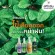 Sketolene, Ski Toline, mosquito spray, lemongrass formula 60 ml. Pack 12 bottles of natural mosquito repellent citronella oil.