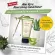 KAFF and Co. - Aloe Vera Nourishing Conditioner 155 ml