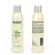 Beaver energizine shampoo  258ml - Remove excess sebum , strength the root and prevent hair loss แชมพูที่ช่วยบำรุงรากผมและหนังศรีษะ ป้องกันการหลุดร่วงของเส้นผม