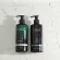 TOSEE For Men Set Hair Care Set for Men Hair set for men TOSEE dark spots Dark spots, body skin, reduce acne, reduce pimples, reduce acne, reducing acne on the back.