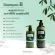 Bergamot Oil Shampoo แชมพู B