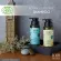 100ml organic hair loss shampoo