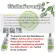 Hair loss shampoo, ginger formula, kaffir lime, lotus, gourd, gourd, herbal shampoo, strong hair to nourish hair, hair loss, thin hair, long hair nourishing, dry, damaged hair I lack the nourishment Wish Herb.