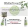 Economical hair loss set Ginger hair loss shampoo Hair conditioner, hair loss, hair loss, thin hair, long hair nourishing, dry hair, damaged hair I lack the nourishment Wish Herb.