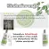 Buy 1 free 1 shampoo, hair loss, ginger formula And hair loss serum Strong hair nourishing Suitable for hair loss, thin hair, damaged hair, ends, hair loss, hair loss