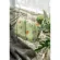 Gio Pillow หมอนป้องกันศีรษะแบน ลาย Jurassic Size M