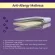 Clevamama  ที่นอนป้องกันไรฝุ่น สำหรับเด็กที่มีปัญหาภูมิแพ้  Clevamama Anti-Allergy Mattress