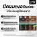 Lyo Hair Color Shampoo ไลโอ แฮร์ คัลเลอร์ แชมพู [ดำ/น้ำตาลเข้ม/น้ำตาลทอง] [1 กล่อง/6 ซอง] แชมพูปิดผมขาว