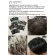 X6 box Lyo Lyo Lyo Hair Color Shampoo, white hair, Kanchai Hair Color Shampoo 30ml