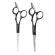 BARBER SCISSORS กรรไกรตัด 6.5 นิ้ว +ซอยผม 6 นิ้ว VAL-64/65