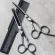 Valent scissors-EF-630+60 scissors
