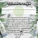 Cheapest hair nourishing hair nourishing white hair serum Vitamins, Hair, Herbal Shampoo, Herbal Hair Cream Angelica Japanese Wish Herb Ginseng