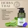 Butterfly pea Herbes